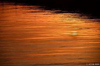 /album/%e5%a4%8f/%e5%a4%95%e7%84%bc%e3%81%91-%282%291-1-jpg/